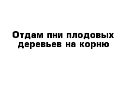 Отдам пни плодовых деревьев на корню